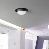 12W LED Full Oval Ceiling Lamp Black Body IP54 3000K