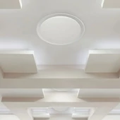 40W LED Domelight SMART WW+CW Ф350 Starry Cover