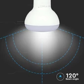 LED Bulb - SAMSUNG CHIP 6W E14 R50 Plastic 4000K