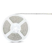 LED Strip 5050 60 Led 24V IP65 6000K
