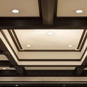 35W LED COB Hotel Downlight 24'D 4000K