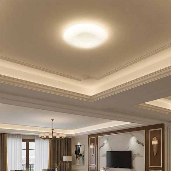 32W Pendant Round Color Changing D:460*H120 Dimmable White