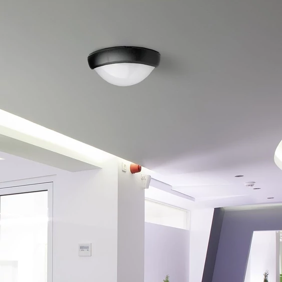 12W LED Full Oval Ceiling Lamp Black Body IP54 3000K