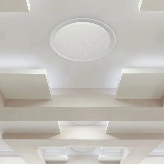 40W LED Domelight SMART WW+CW Ф350 Starry Cover