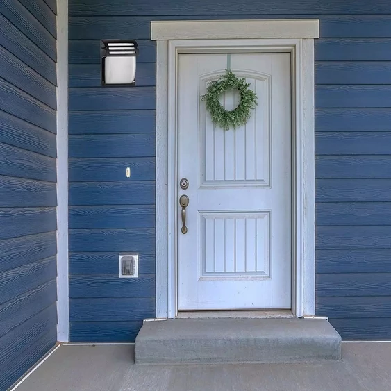 Wall Lamp Frost Glass Matt Black